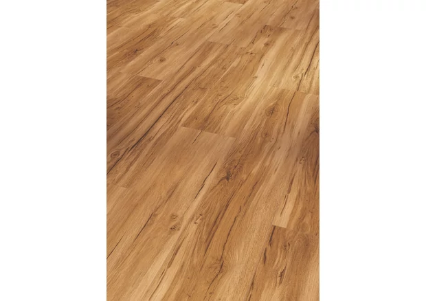 SPC Vinyl - Basic 5.3 - Oak Memory Natural