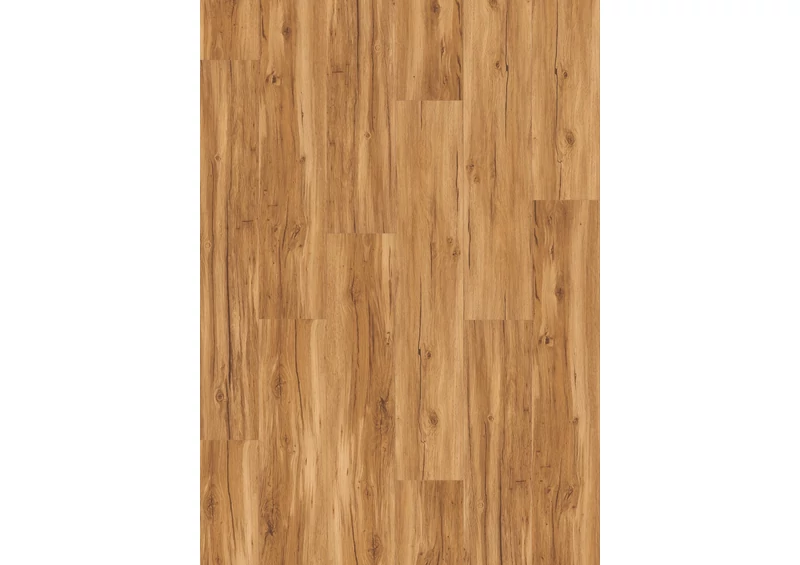 SPC Vinyl - Basic 5.3 - Oak Memory Natural