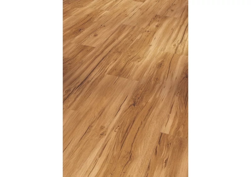 SPC Vinyl - Basic 5.3 - Oak Memory Natural