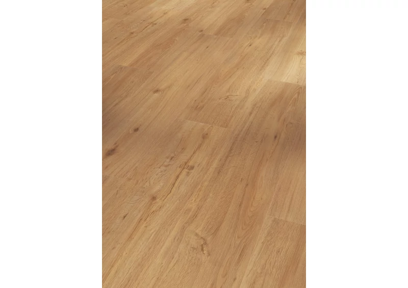 SPC Vinyl - Basic 5.3 - Oak Natural