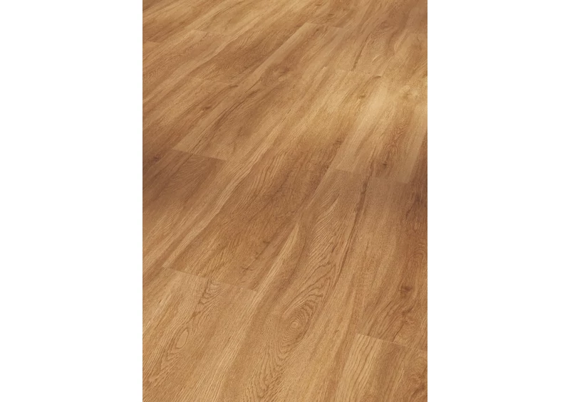 SPC Vinyl - Basic 5.3 - Oak Sierra Natural